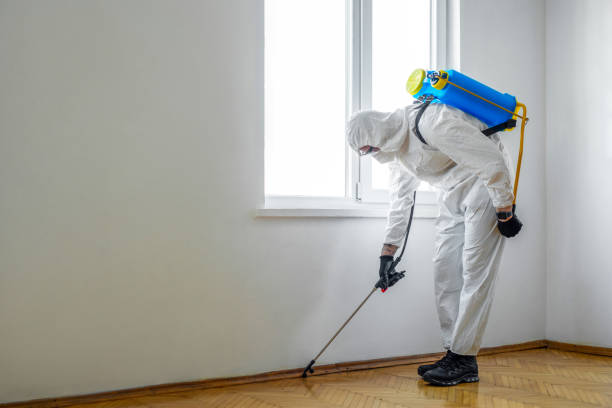 Best Best Pest Control Companies  in Peotone, IL