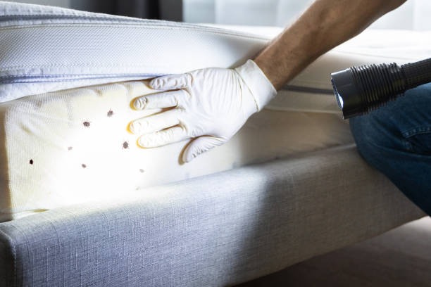 Best Pest Removal Services  in Peotone, IL