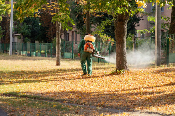 Best Residential Pest Control  in Peotone, IL
