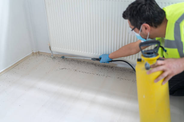 Best Exterminator Services  in Peotone, IL